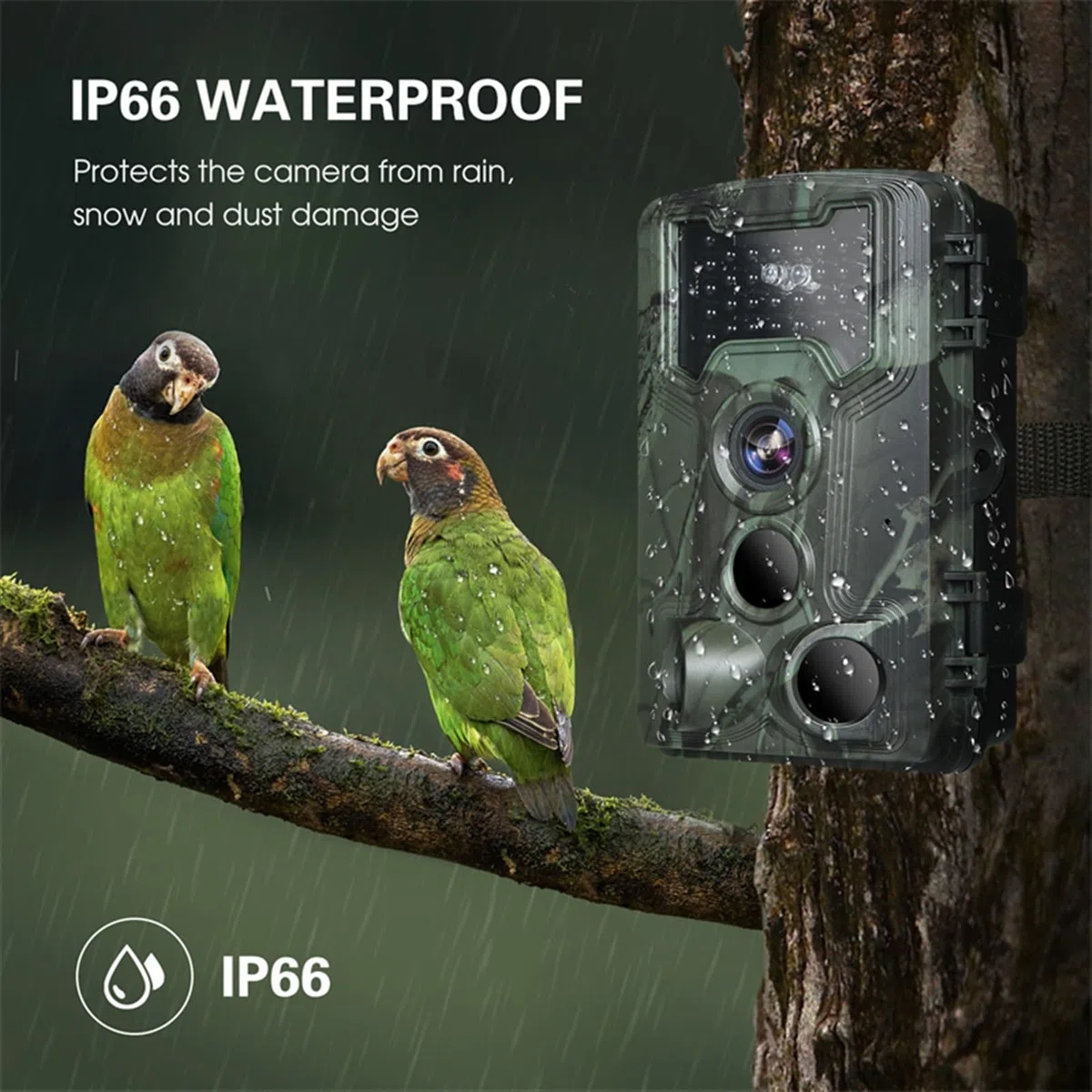 Caméra de Chasse et Surveillance la Faune, avec Vision Nocturne Induction Infrarouge