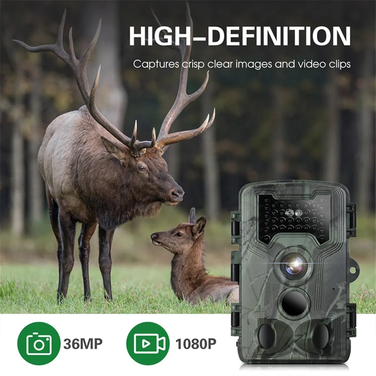 Caméra de Chasse et Surveillance la Faune, avec Vision Nocturne Induction Infrarouge