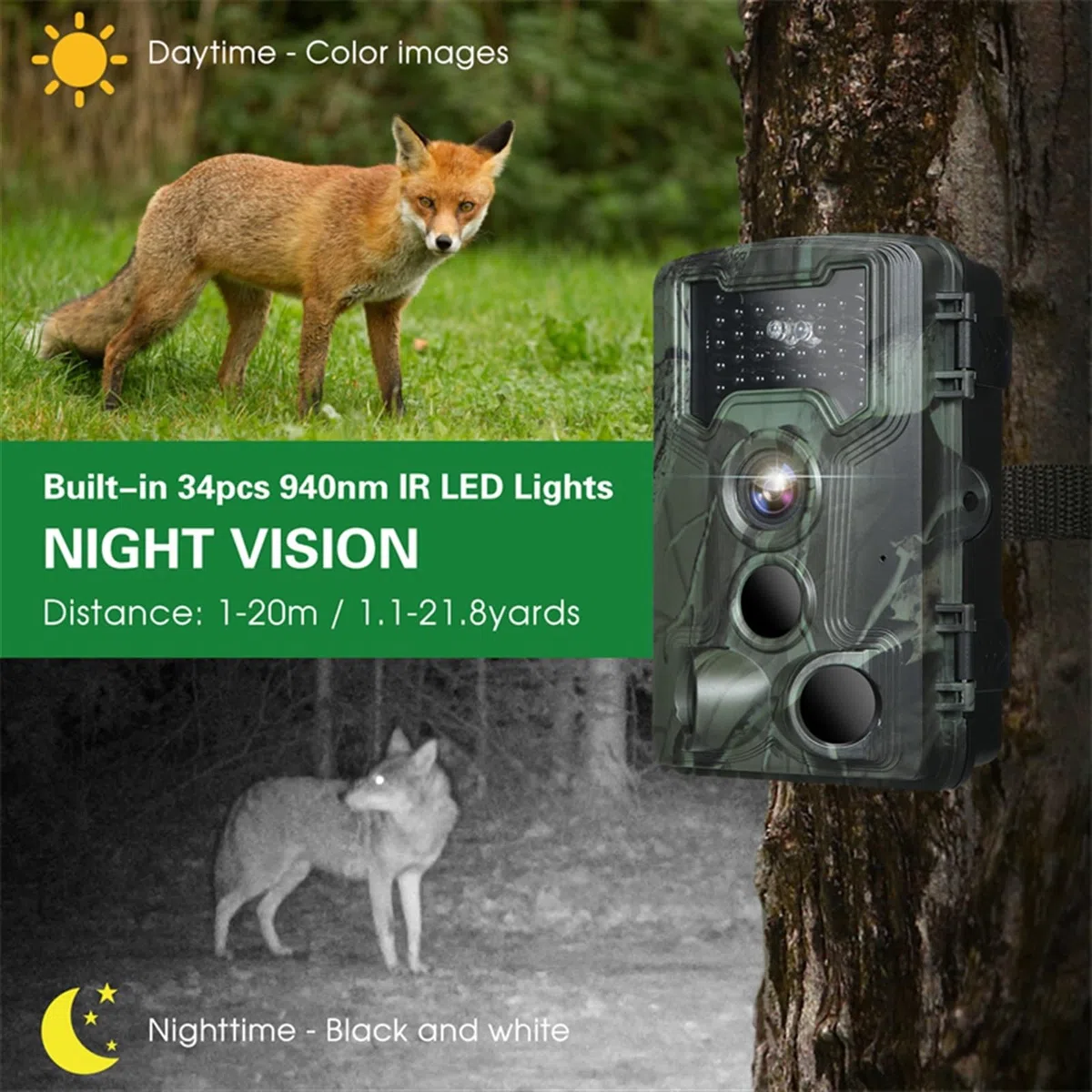Caméra de Chasse et Surveillance la Faune, avec Vision Nocturne Induction Infrarouge